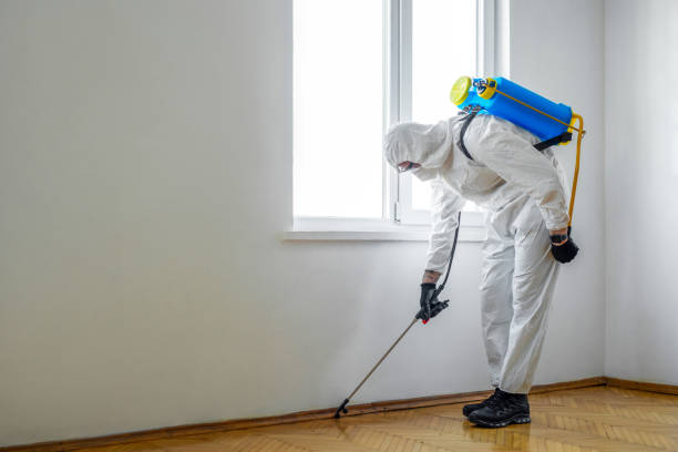 Best Pest Control for Restaurants and Food Service  in East Hills, NY